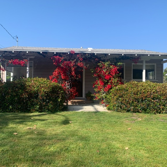 NEW & PRE-L❤️VED•VINTAGE & ANTIQUE•FAST SHIPPING✈️ - Picture 4 of 13